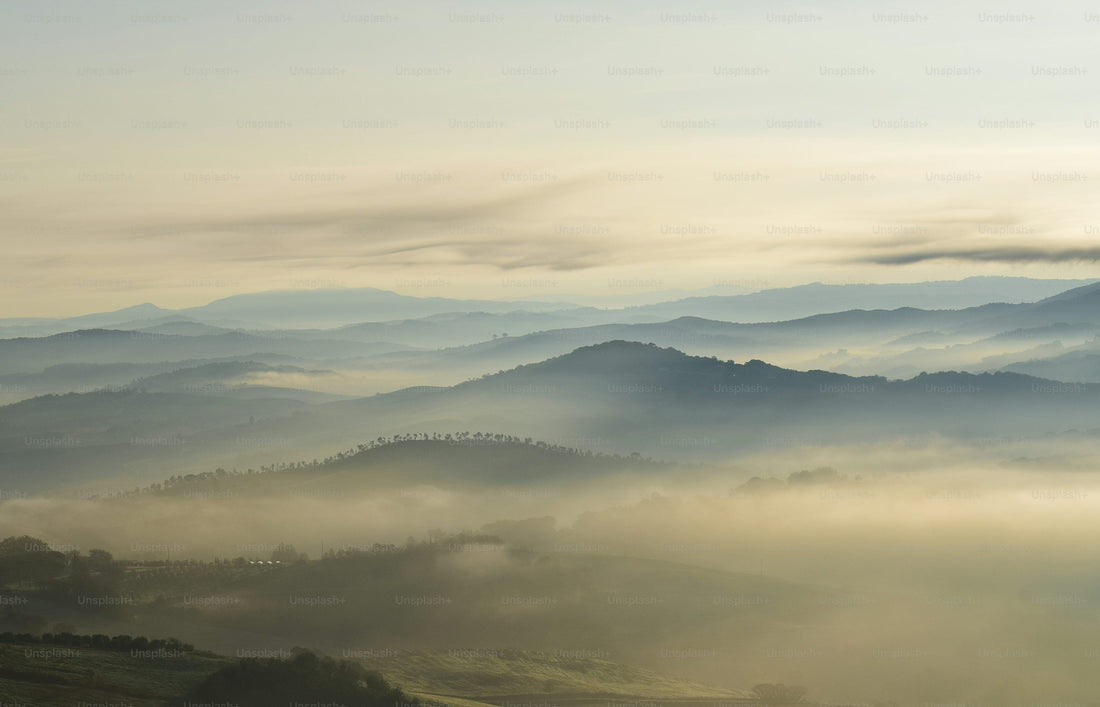Sustainable Luxury in Practice